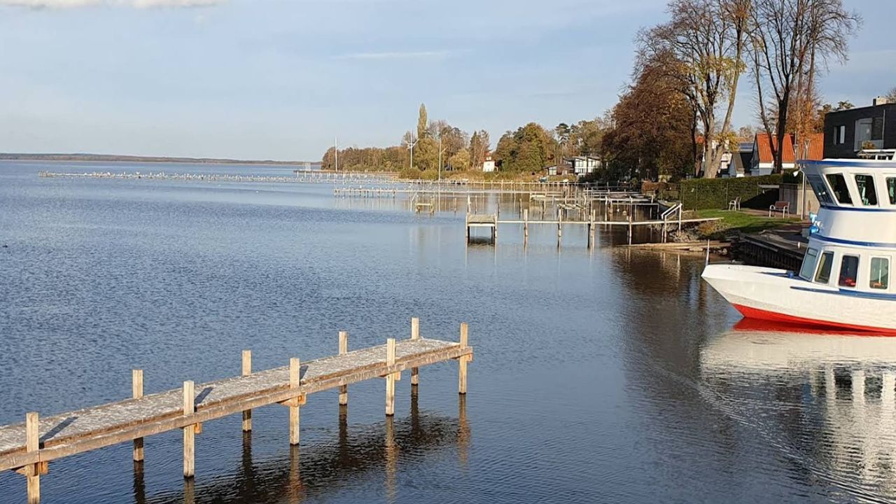 AreaSummer1KM AreaSummer1KM